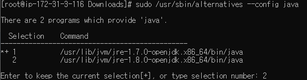 Java version change